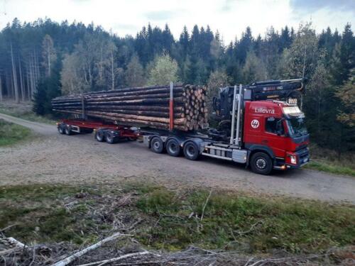 120529899 2688505208032740 512116695462758160 o